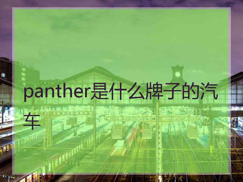 panther是什么牌子的汽车