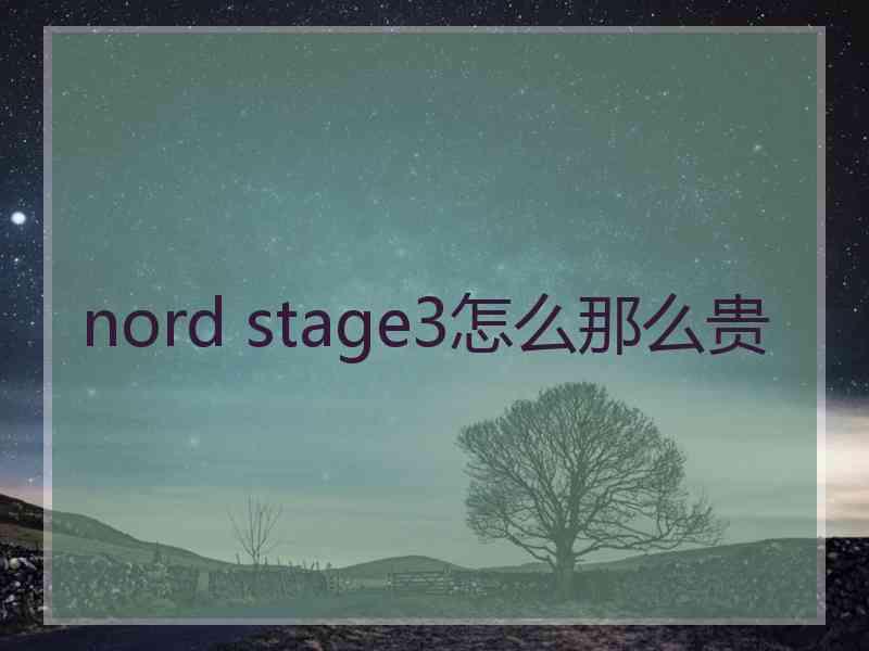 nord stage3怎么那么贵