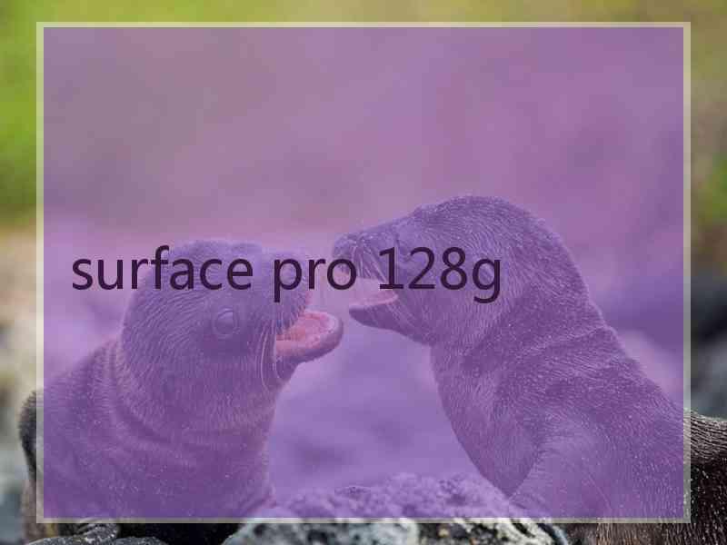 surface pro 128g