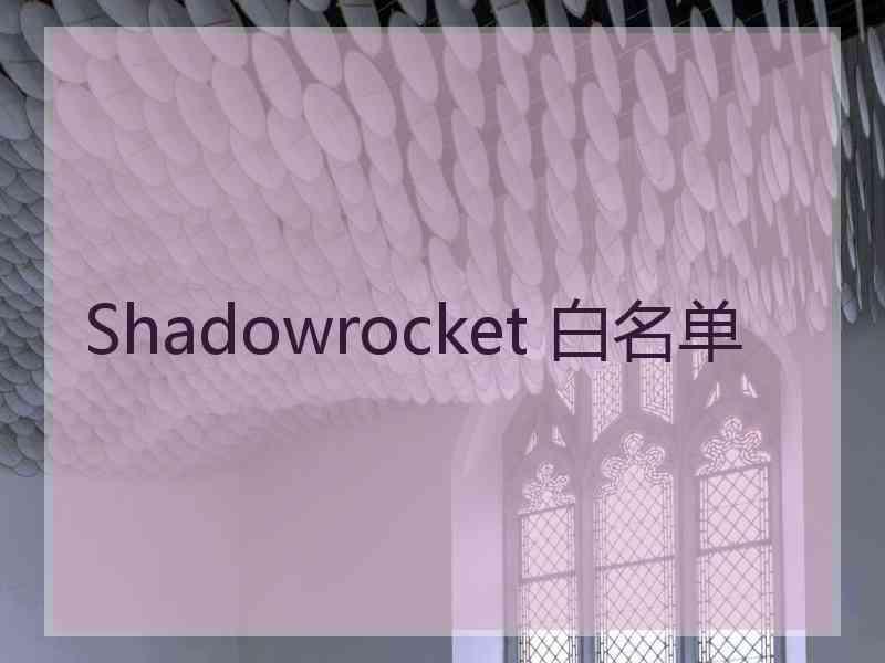 Shadowrocket 白名单