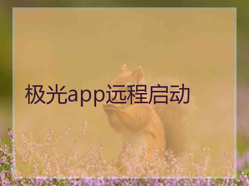 极光app远程启动