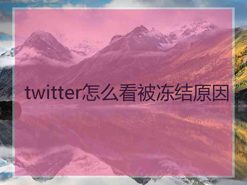 twitter怎么看被冻结原因