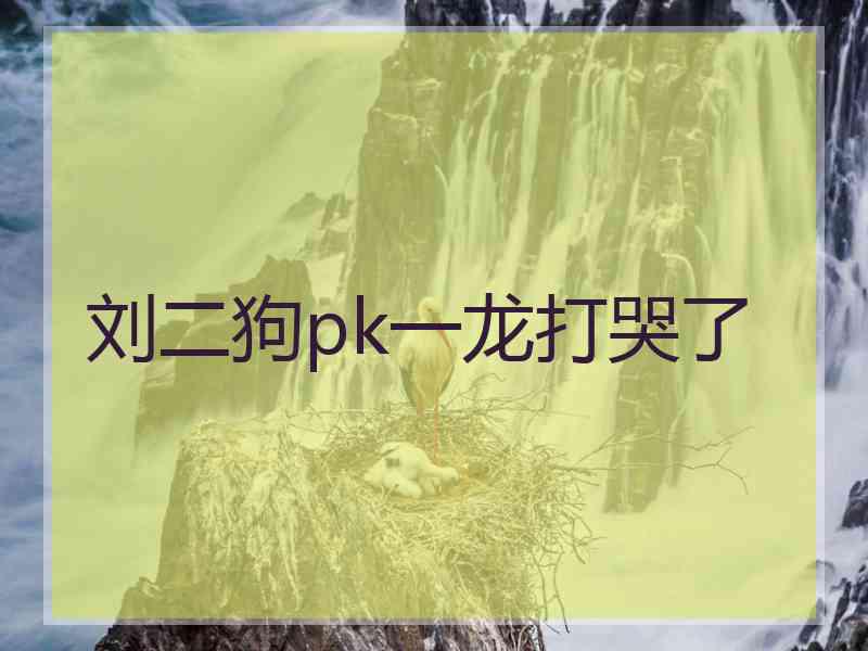 刘二狗pk一龙打哭了