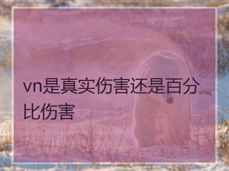 vn是真实伤害还是百分比伤害