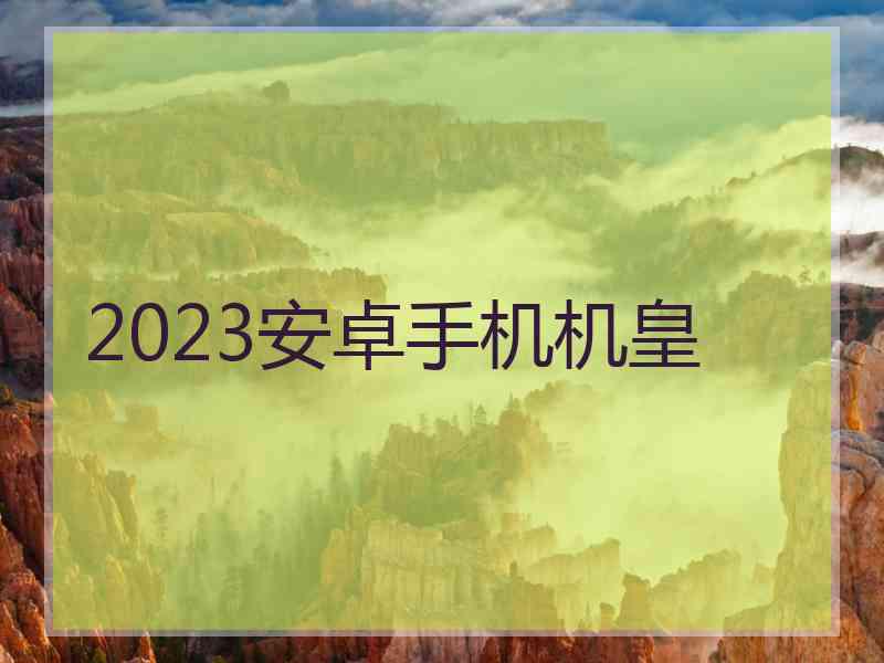 2023安卓手机机皇