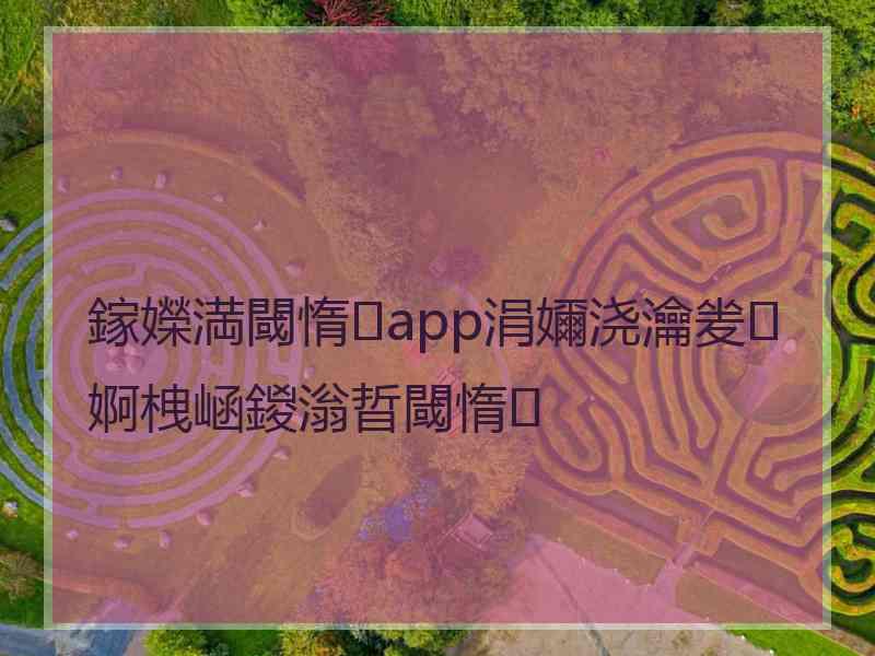 鎵嬫満閾惰app涓嬭浇瀹夎婀栧崡鍐滃晢閾惰