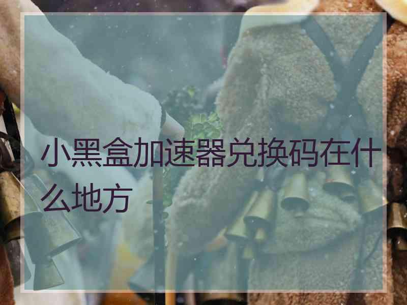 小黑盒加速器兑换码在什么地方