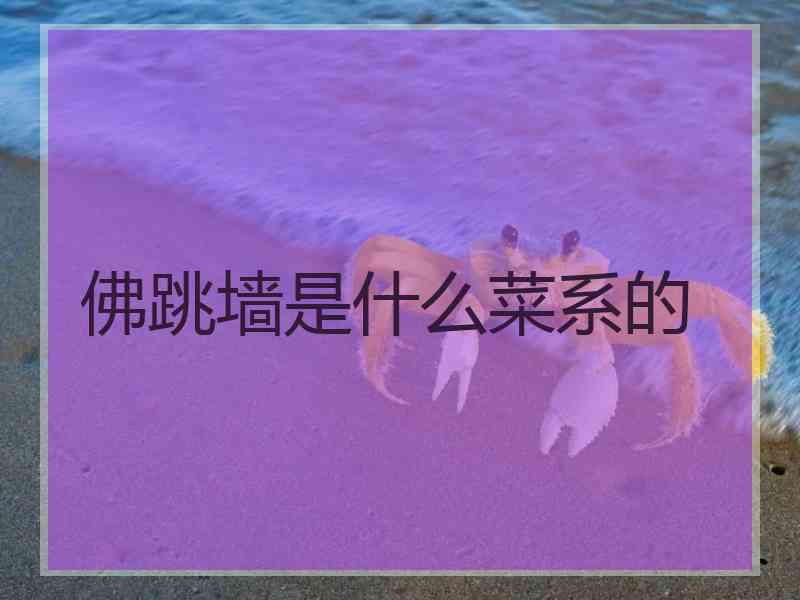 佛跳墙是什么菜系的