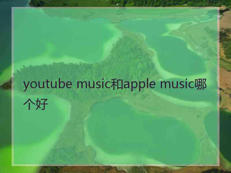 youtube music和apple music哪个好