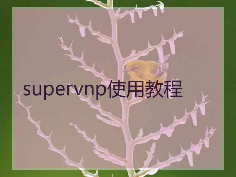 supervnp使用教程