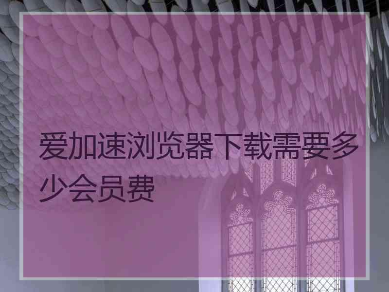 爱加速浏览器下载需要多少会员费