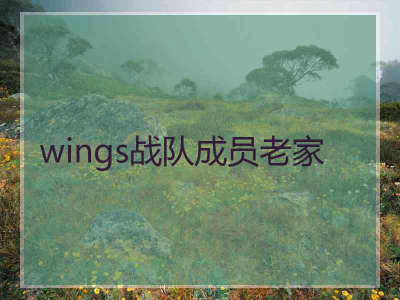 wings战队成员老家