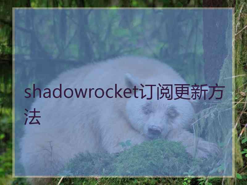 shadowrocket订阅更新方法