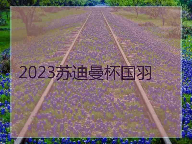 2023苏迪曼杯国羽