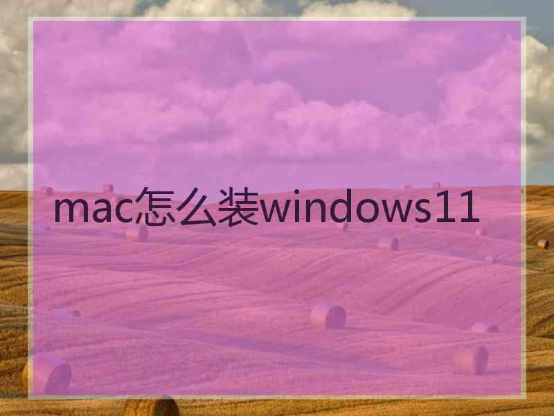 mac怎么装windows11