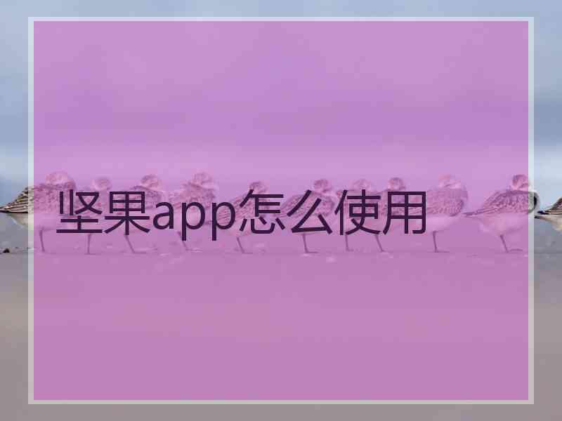 坚果app怎么使用