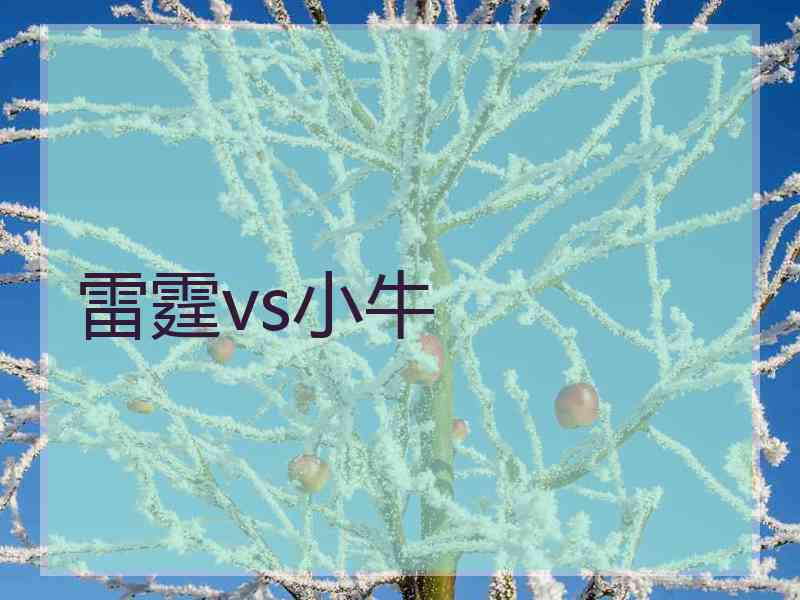 雷霆vs小牛