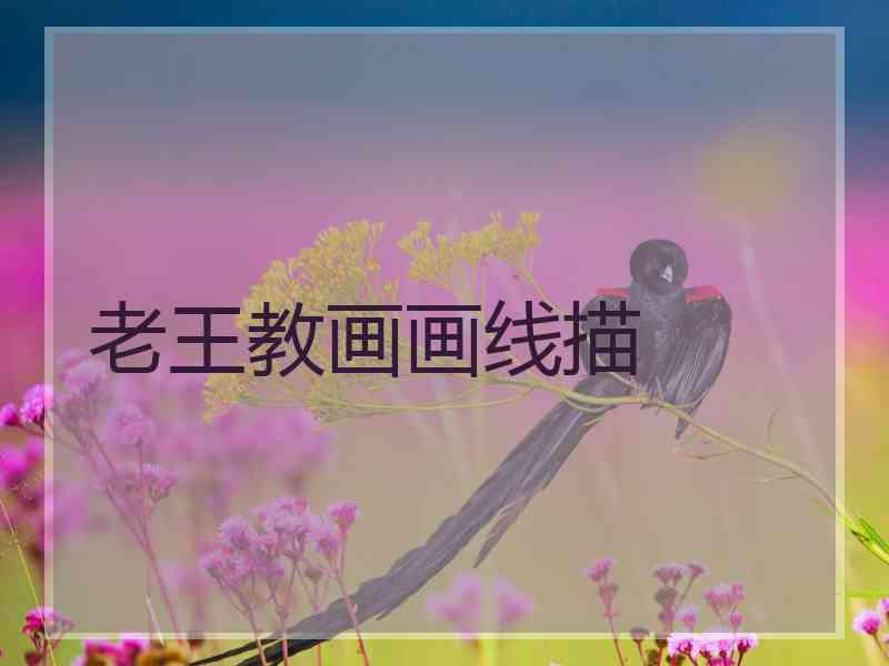 老王教画画线描