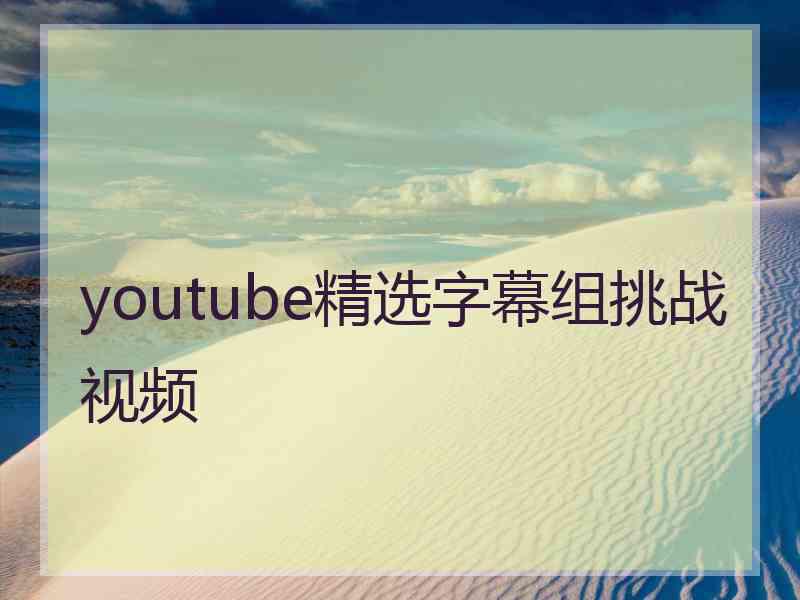 youtube精选字幕组挑战视频