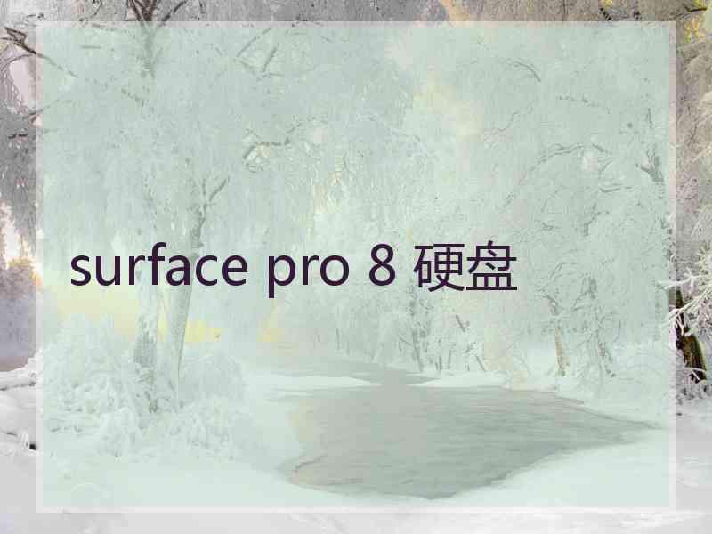 surface pro 8 硬盘