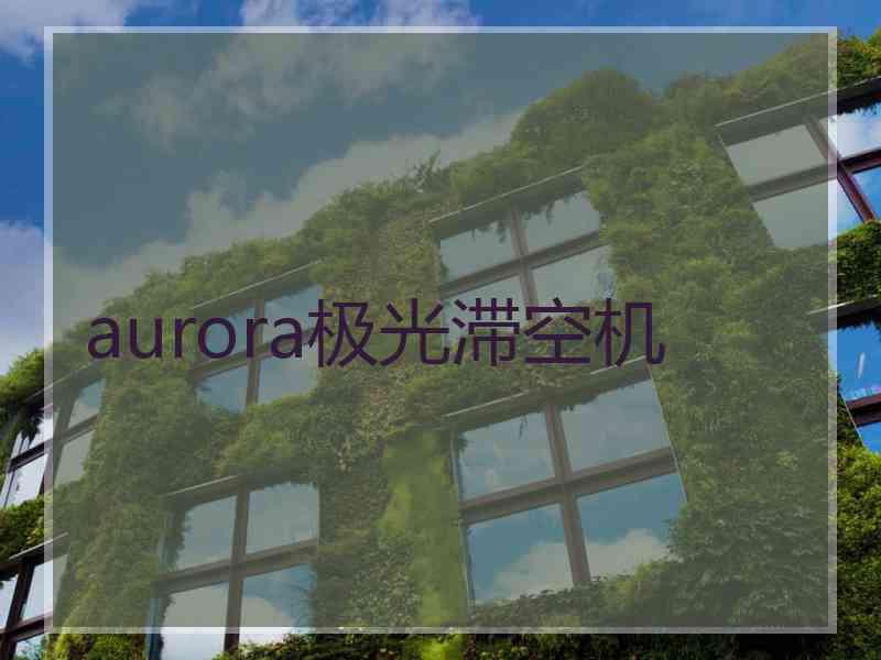 aurora极光滞空机