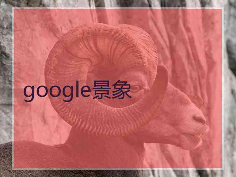 google景象