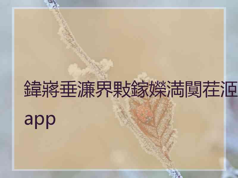 鍏嶈垂濂界敤鎵嬫満闃茬洍app