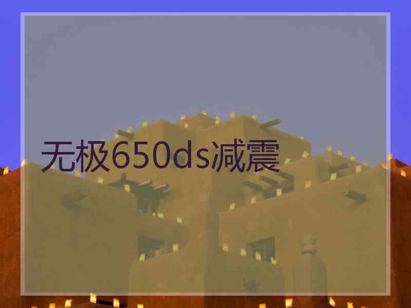 无极650ds减震