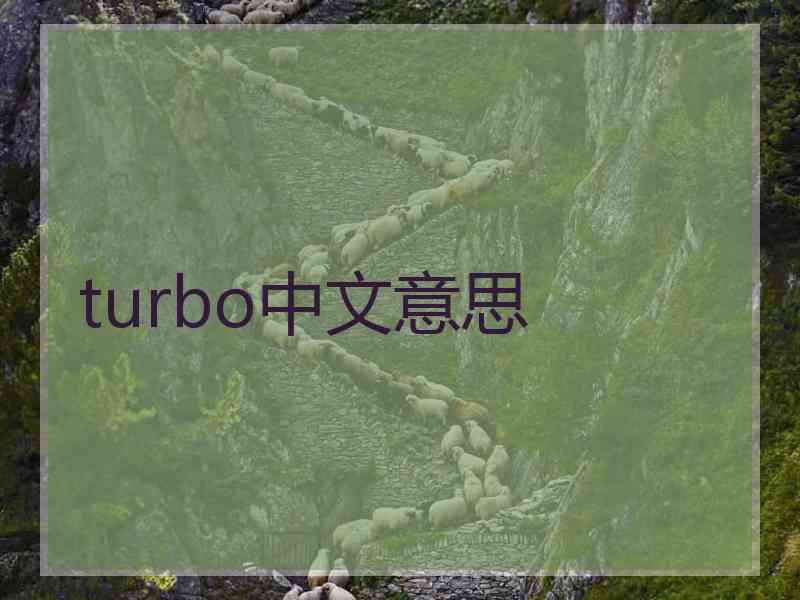 turbo中文意思