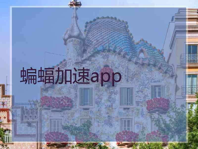 蝙蝠加速app