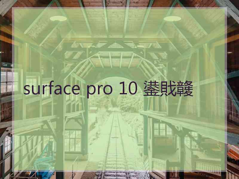 surface pro 10 鍙戝竷