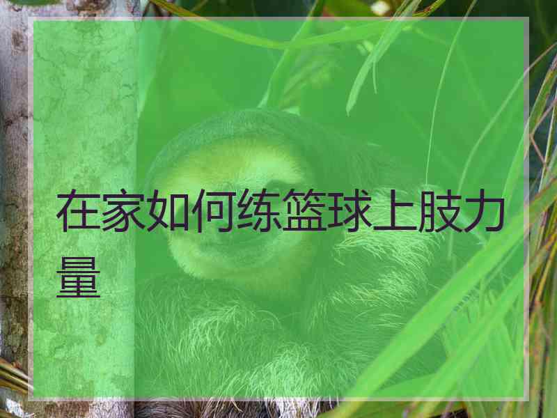 在家如何练篮球上肢力量