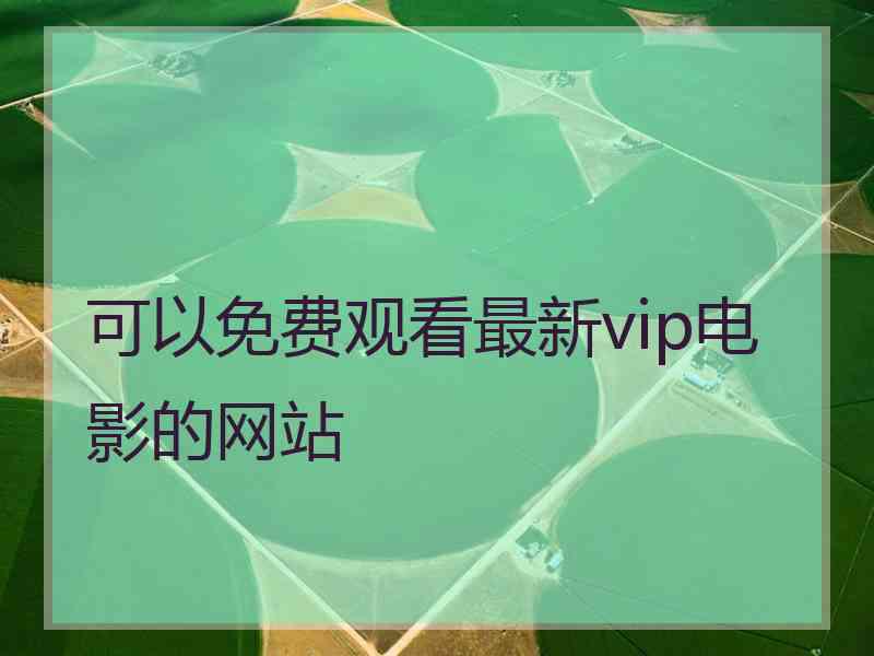 可以免费观看最新vip电影的网站