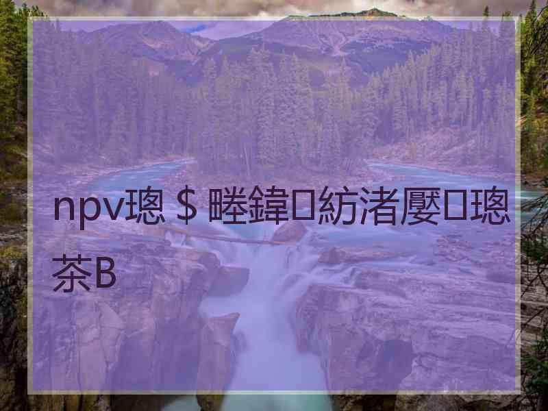 npv璁＄畻鍏紡渚嬮璁茶В