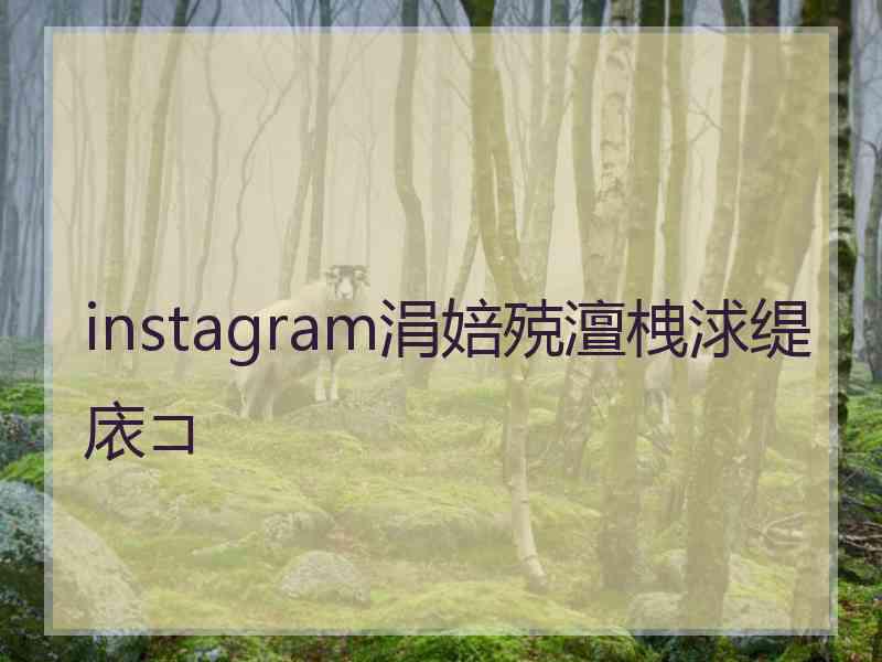 instagram涓婄殑澶栧浗缇庡コ