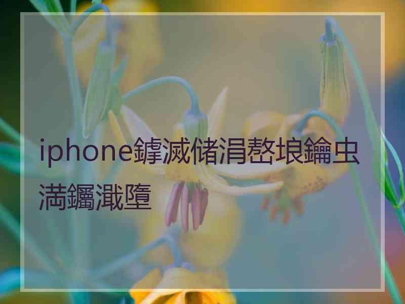 iphone鎼滅储涓嶅埌鑰虫満钃濈墮