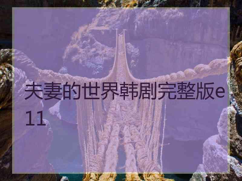 夫妻的世界韩剧完整版e11