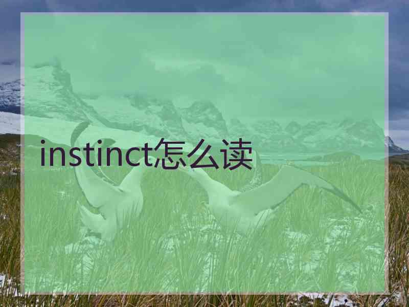 instinct怎么读