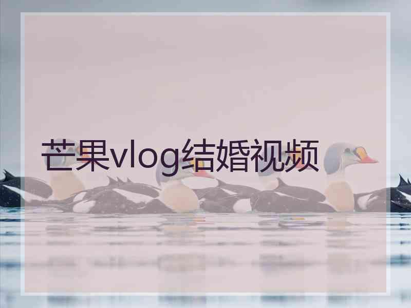 芒果vlog结婚视频