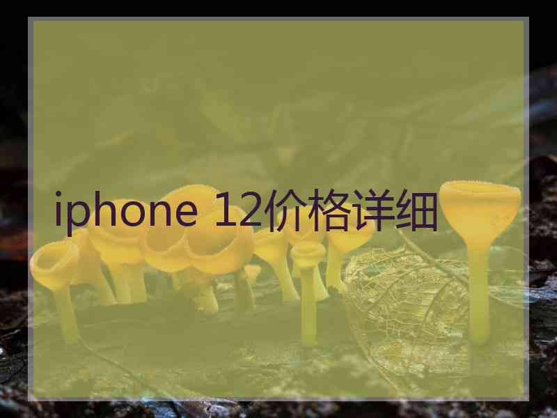 iphone 12价格详细