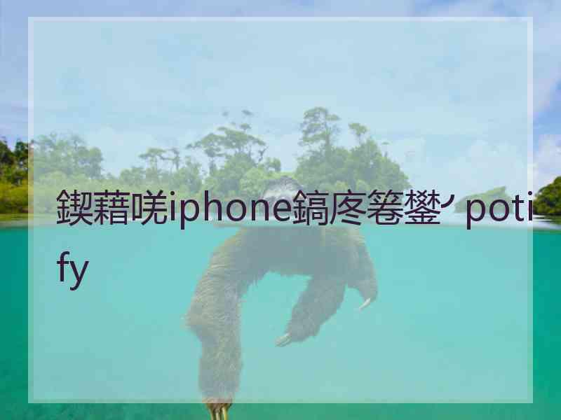 鍥藉唴iphone鎬庝箞鐢╯potify