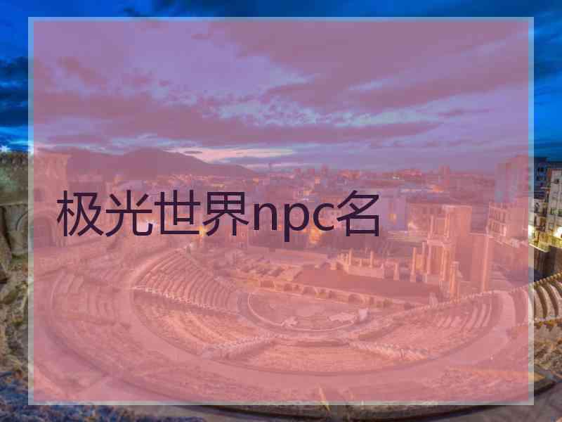 极光世界npc名