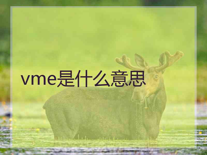 vme是什么意思