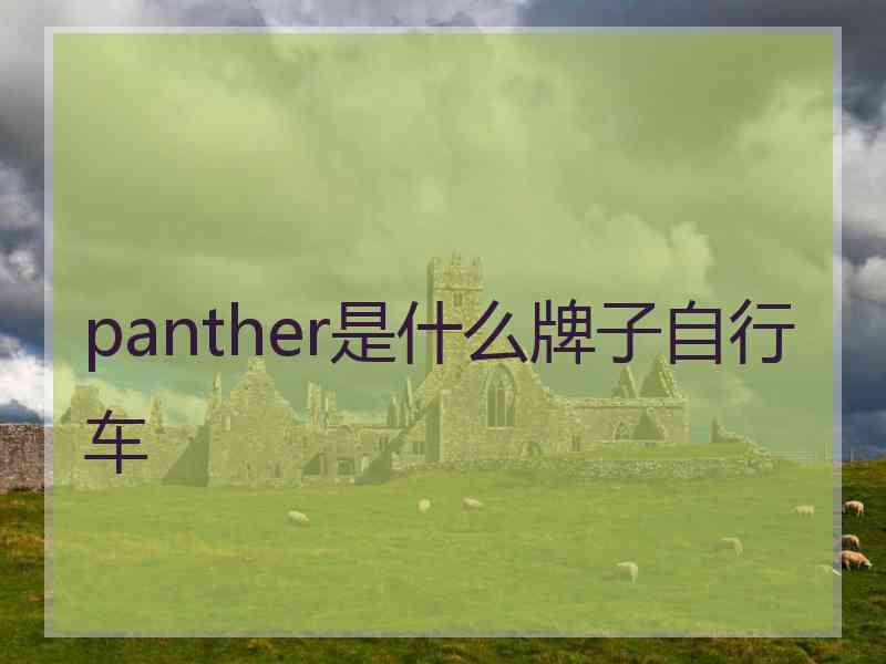 panther是什么牌子自行车