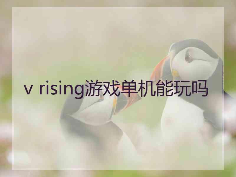 v rising游戏单机能玩吗