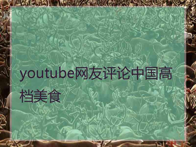 youtube网友评论中国高档美食