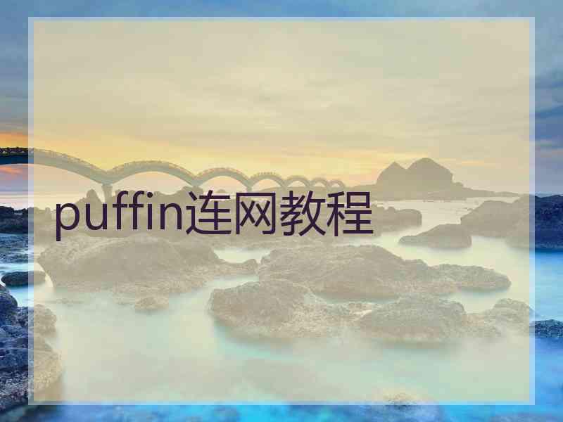 puffin连网教程