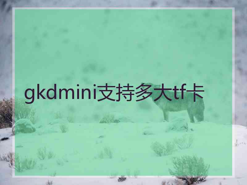 gkdmini支持多大tf卡