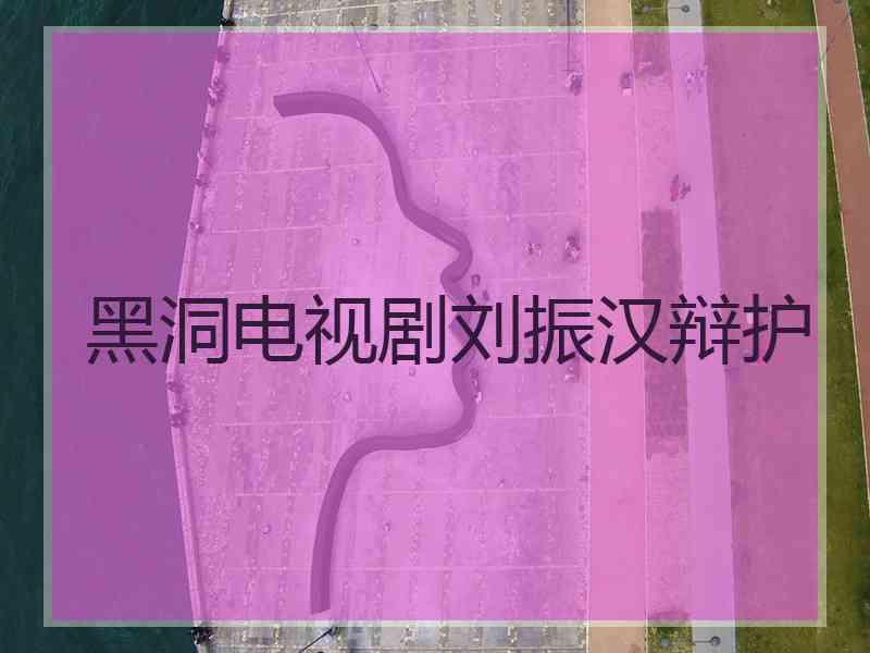 黑洞电视剧刘振汉辩护