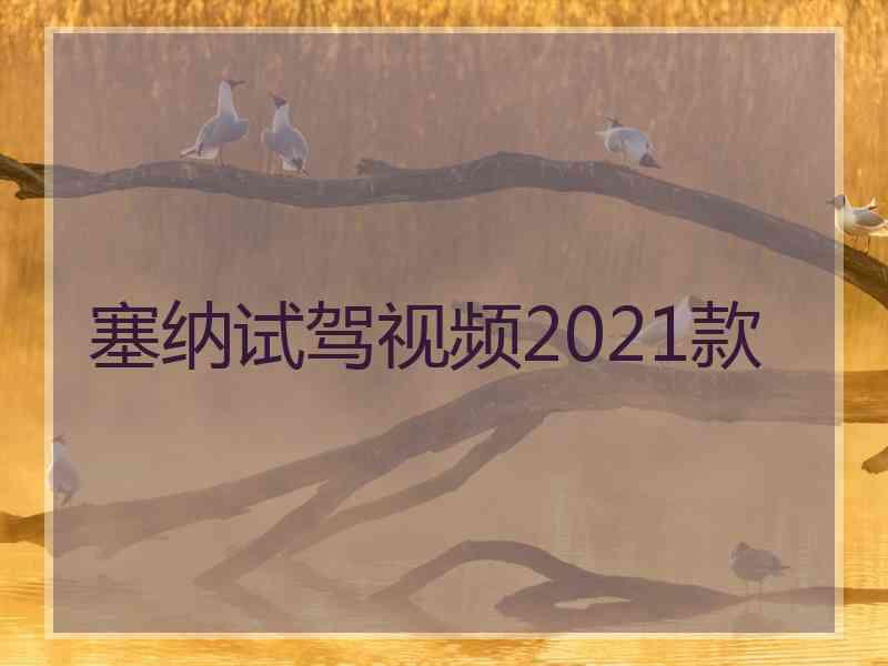 塞纳试驾视频2021款